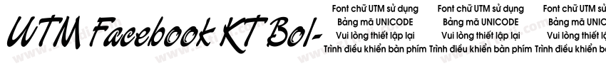 UTM Facebook KT Bol字体转换